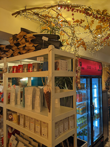 Comentarii opinii despre Hungry Bear Cafe/ Restaurant