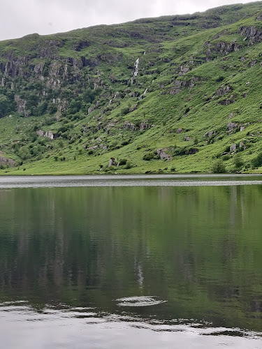 Cronin's Bar & Cafe. - Macroom