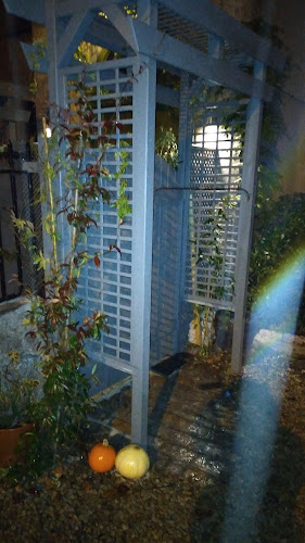 Opinii despre Boro Inn în Enniscorthy - Hospitality and gastronomy