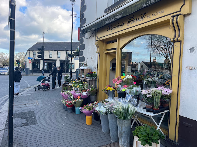 Malahide Florist - Malahide
