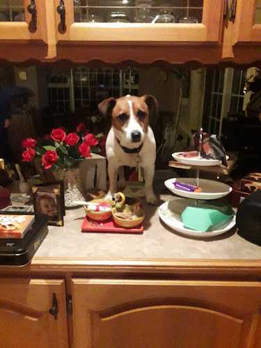 Opinii despre Harneys în Gorey - Hospitality and gastronomy