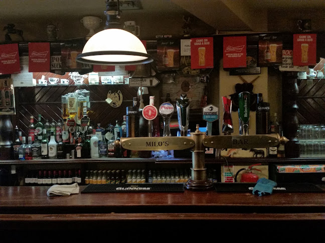 Opinii despre Milo's Pub în Longford - Hospitality and gastronomy