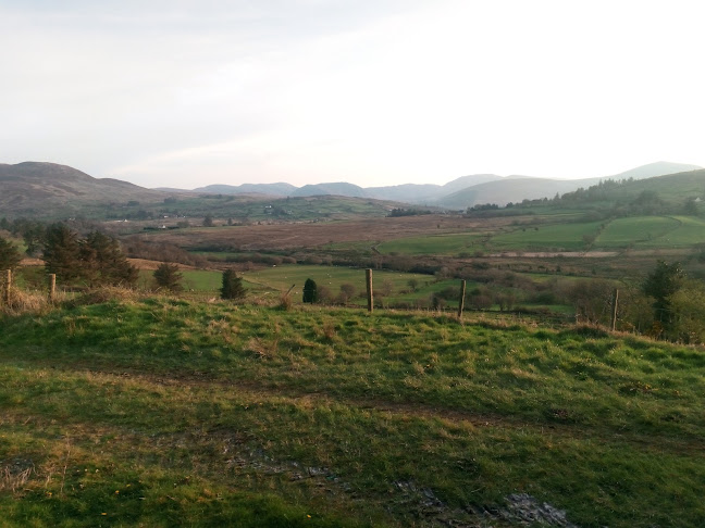 Harkins Bar & Lounge - Lifford