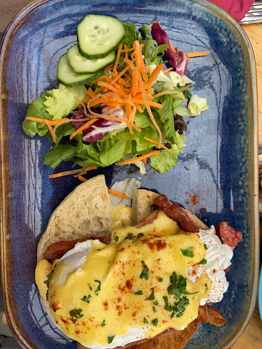 Curious Cat Café - Hospitality and gastronomy