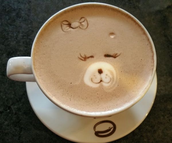 Esquires - The Organic Coffee Co Mullingar - Mullingar