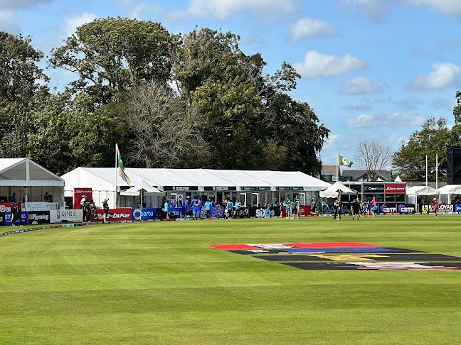 The Tree House Café
