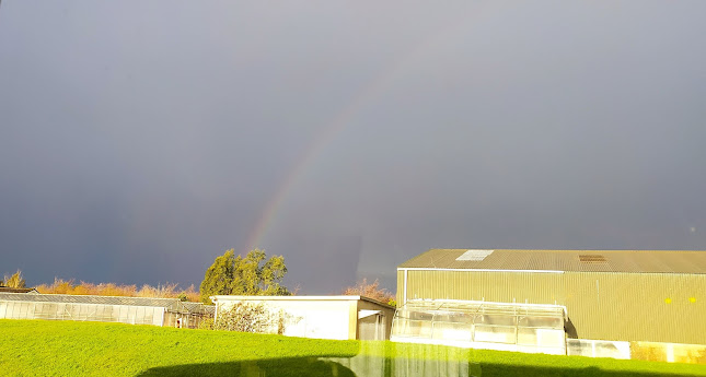 The Sanctuary Cafe - Hospitality and gastronomy