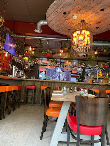 Anatolia Cafe & Restaurant - Hospitality and gastronomy