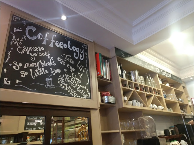 Revive Cafe - Hospitality and gastronomy