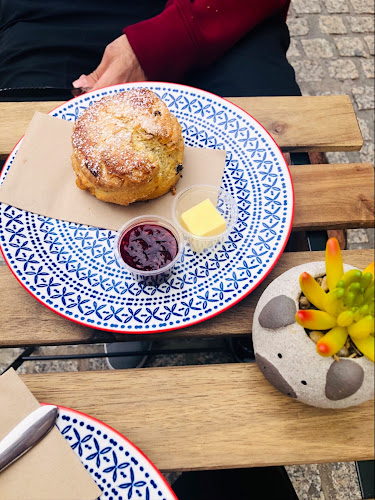 Comentarii opinii despre Waterlilies