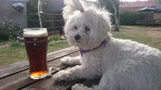 O'Briens - Hospitality and gastronomy