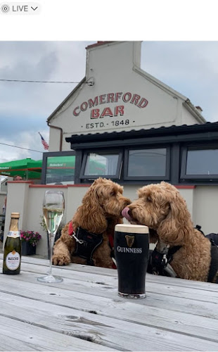 Opinii despre COMERFORD’S BAR în Doonbeg - Hospitality and gastronomy