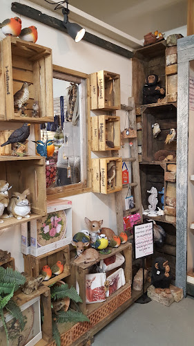 Comentarii opinii despre Greenhouse cafe