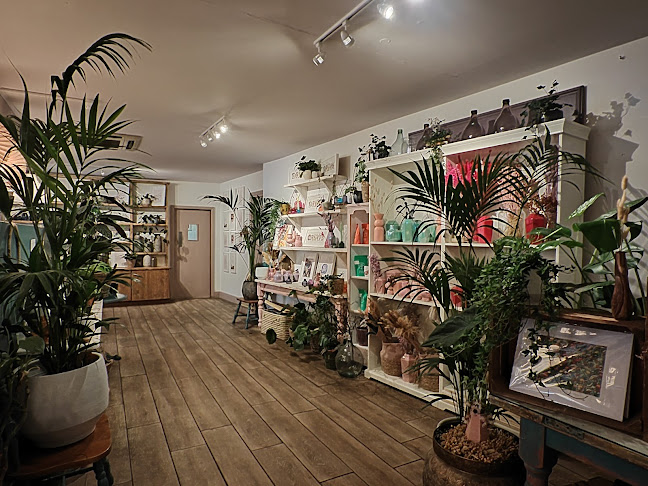 Luna Food Co. - Miltown Malbay