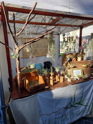 2, 14 Churchyard St, Galway, H91 X2R5