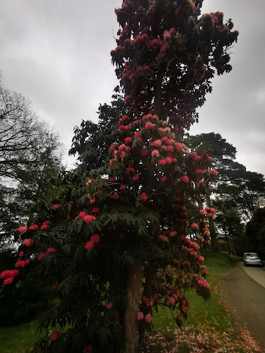 Opinii despre Acton Cafe Kilmacurragh în Wicklow - Hospitality and gastronomy