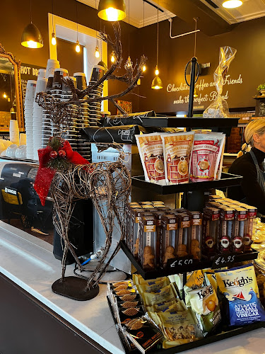 Chocolate Brown - Mullingar