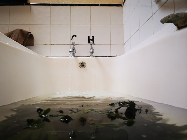 Comentarii opinii despre Collins' Beach Cafe and Seaweed Baths