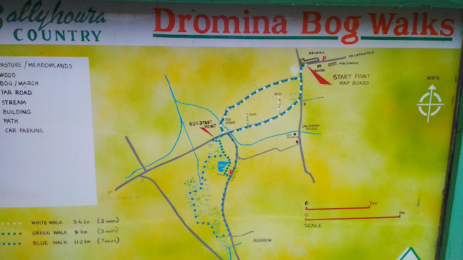 Main Street, Dromina, Co. Cork