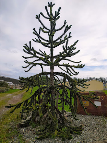 Comentarii opinii despre The Sanctuary Cafe