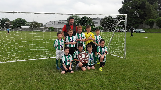 The Stag's Head - Dundalk