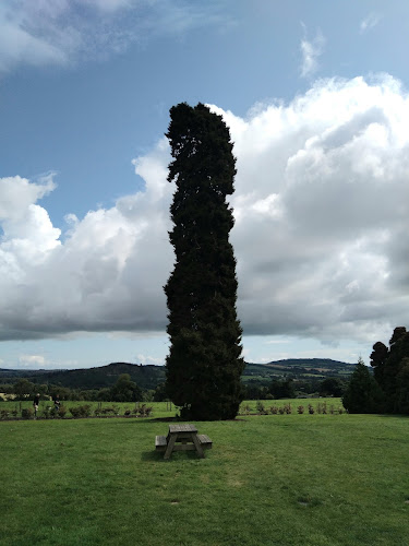 Unnamed Road, Kilmacurra East, Co., Wicklow
