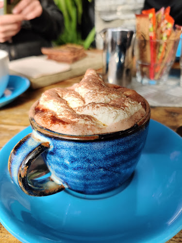 Comentarii opinii despre Curious Cat Café