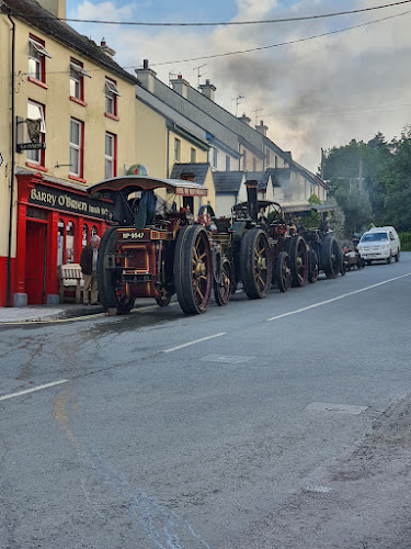 Comentarii opinii despre Irish Whip