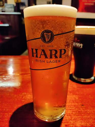 Opinii despre Dan Lowrey's Tavern în Cork - Hospitality and gastronomy