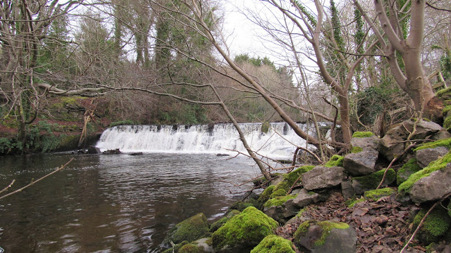 O'Mara's Lounge - Hospitality and gastronomy