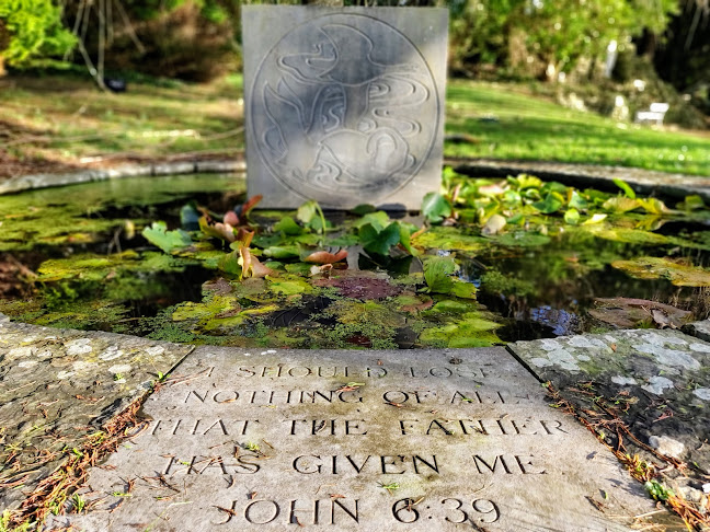 Opinii despre Oasis Tea Room în Cobh - Hospitality and gastronomy