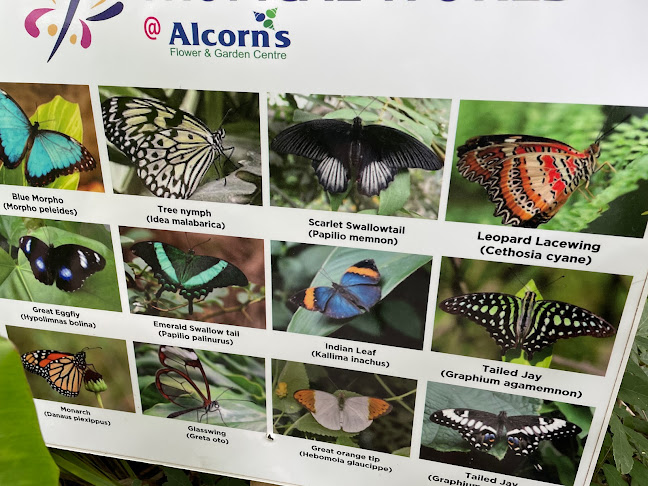 Thyme Out Cafe/Tea Rooms