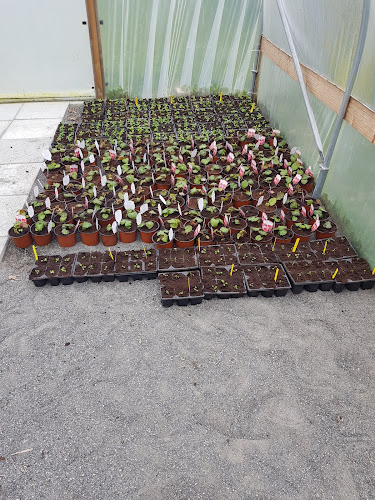 Opinii despre CafÃ Royal în Birr - Hospitality and gastronomy