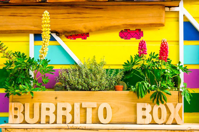 Burrito Box - Greystones