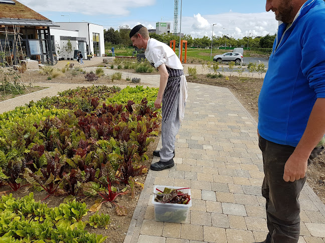 Comentarii opinii despre GROW HQ