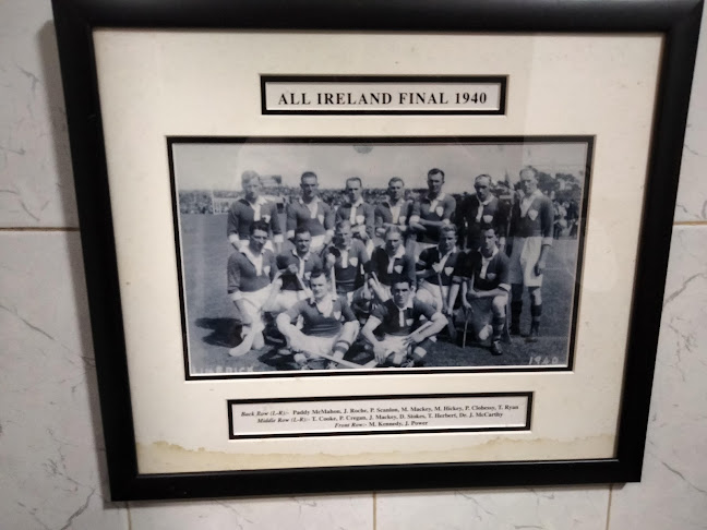 Comentarii opinii despre Moloney's Bar