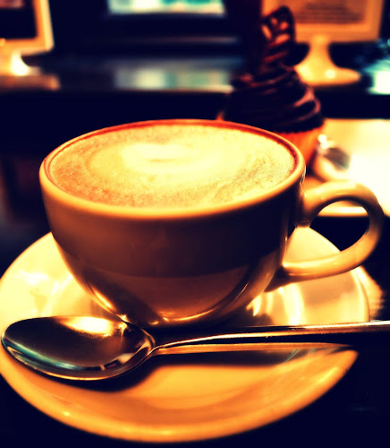 Chocolate Brown Mullingar AF - Mullingar