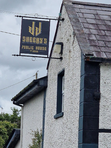 Comentarii opinii despre JJ Sheehy's Public House