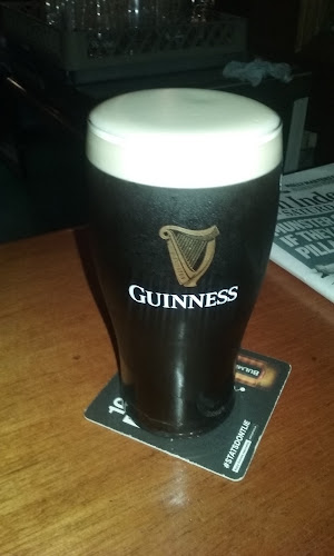 Bridge Bar - Hospitality and gastronomy