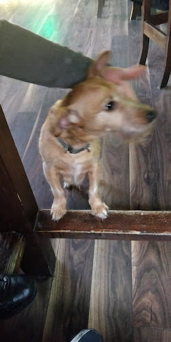 Comentarii opinii despre The Mauretania Bar