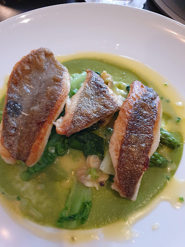 Comentarii opinii despre Campagne