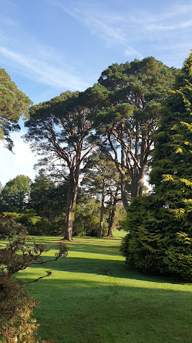 Saddlers Pub - Killarney