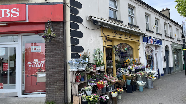 Opinii despre Malahide Florist în Malahide - Hospitality and gastronomy