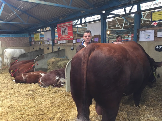 Opinii despre Bridgend Bar în Ballyshannon - Hospitality and gastronomy