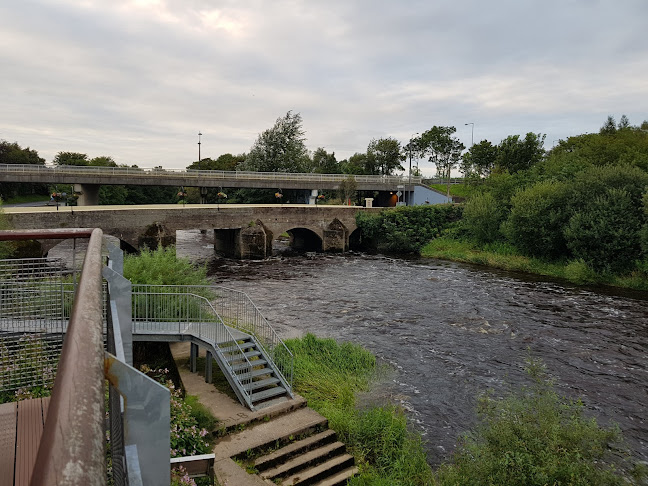 Salmon Weir, Rivers, Annacotty, Co. Limerick, V94 ETY3