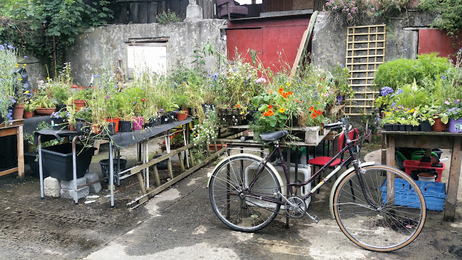 Fennellys of Callan - Hospitality and gastronomy