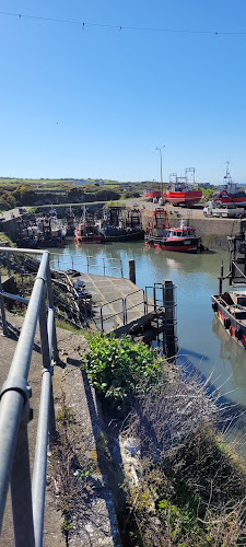 Port Oriel, Clogherhead, Co. Louth, A92 X5YD