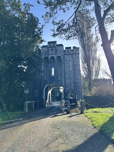 Rosse Row, Townparks, Birr, Co. Offaly, R42 V027