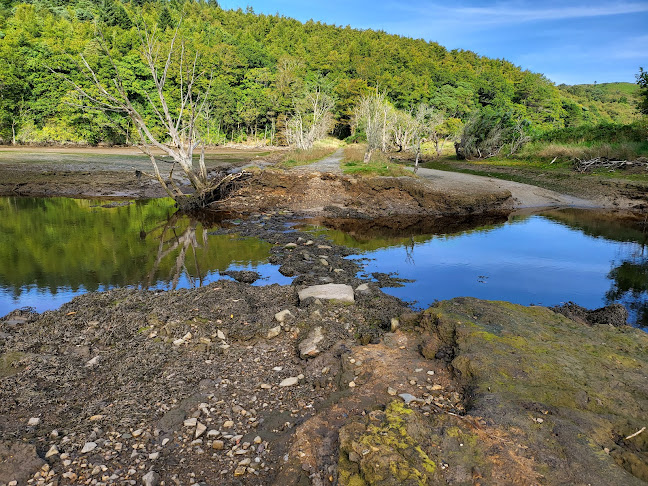 Comentarii opinii despre Ards Coffee Tree