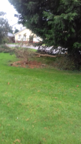 Mano's Chipper & Pizzeria - Gorey